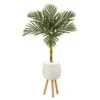 4.5’ Golden Cane Artificial Palm Tree In White Planter With Stand