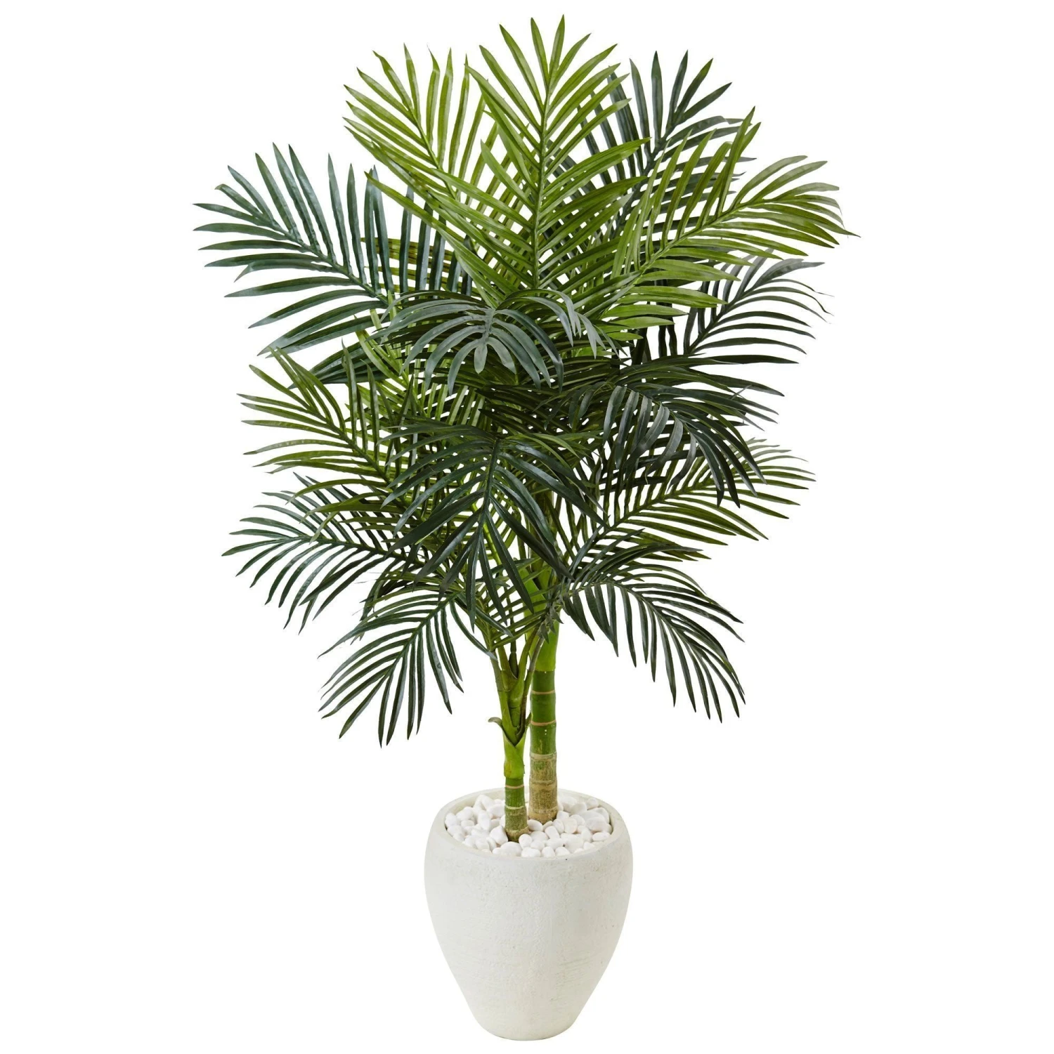 4.5’ Golden Cane Palm Tree In White Oval Planter