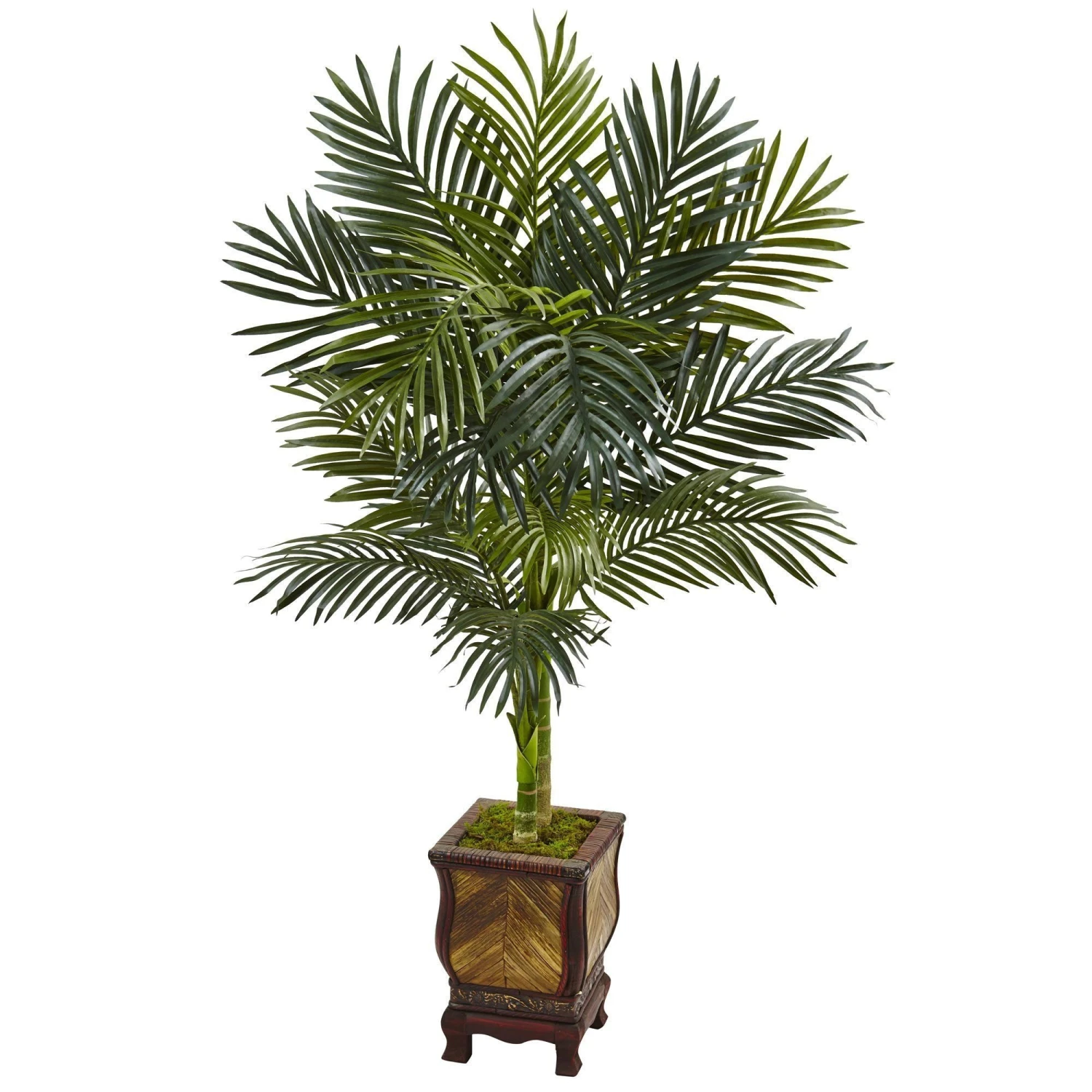 4.5β Golden Cane Palm Tree In Wooden Decorated Planter