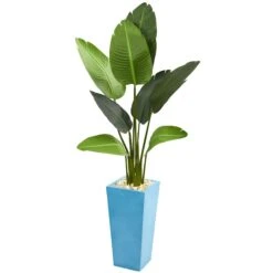 5’ Travelers Artificial Palm Tree In Turquoise Planter