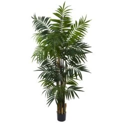 6’ Bulb Areca Palm Tree