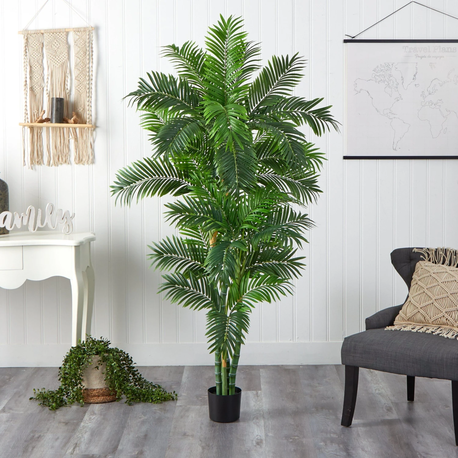 6’ Curvy Parlor Palm Silk Tree - Image 3