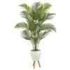 6.5’ Golden Cane Artificial Palm Tree In White Planter With Stand