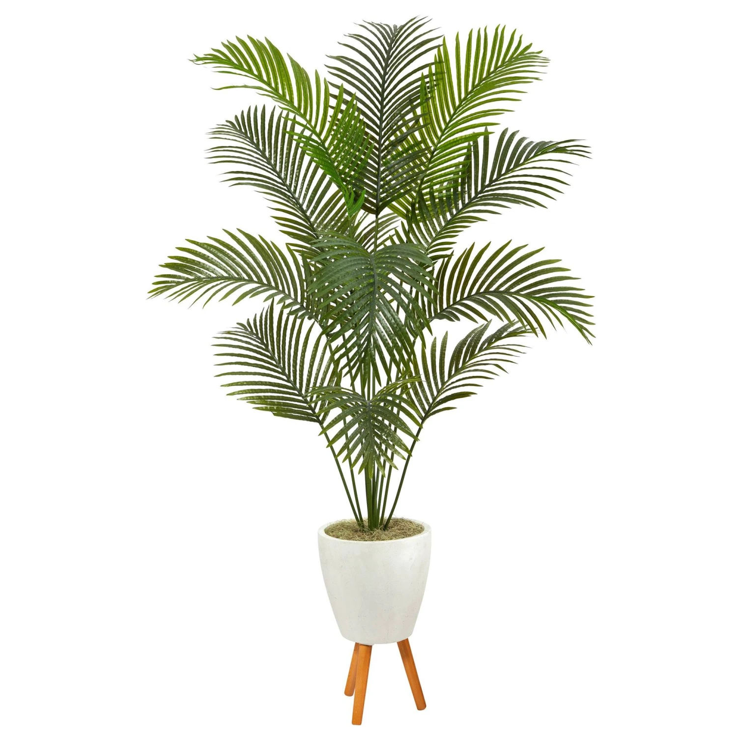 6.5β Golden Cane Artificial Palm Tree In White Planter With Stand