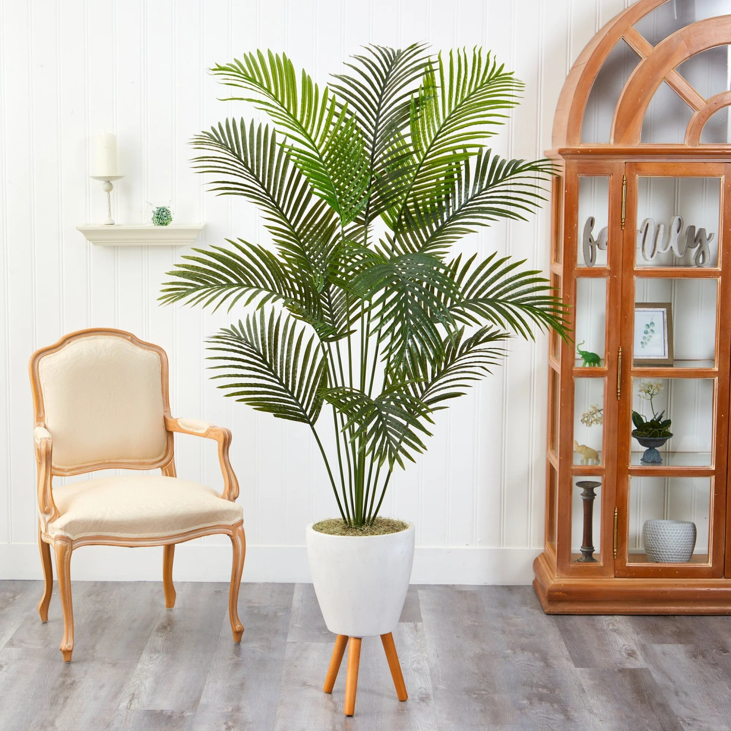6.5β Golden Cane Artificial Palm Tree In White Planter With Stand - Image 3