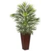 Areca Palm In Bamboo Planter